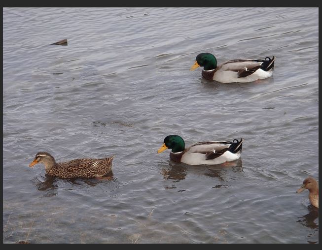 content aware marke tool